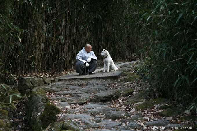 Corée du Sud, 2012
